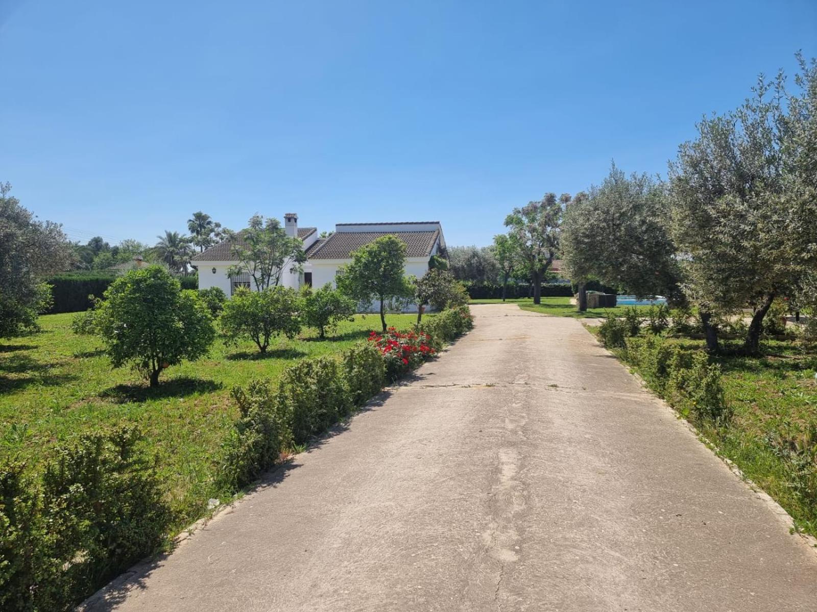 Casa En El Campo Cerca De Sevilla La Rinconada Exteriér fotografie